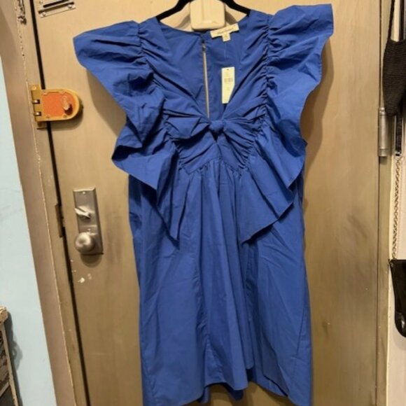 Ruffled Waistless Mini Bow Dress - Picture 5 of 16